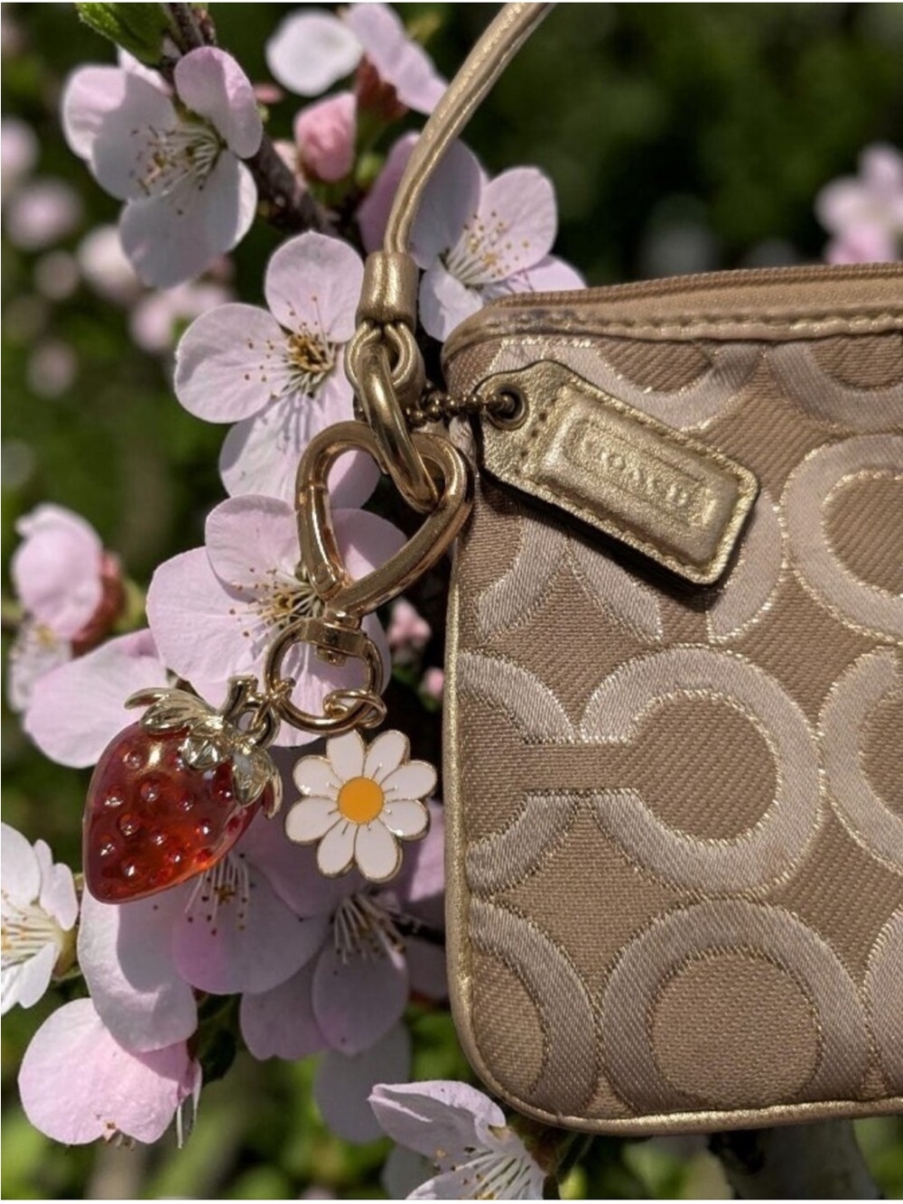 coach wristlet signature jacquard - Picture 6 of 8